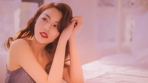 台北上海黑脚企鹅交换