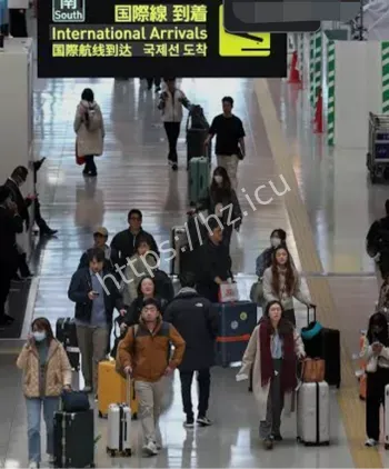 中日航线四成停售