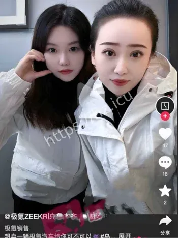 乌鲁木齐极氪李薇薇小三事件